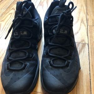 Lebron James low top